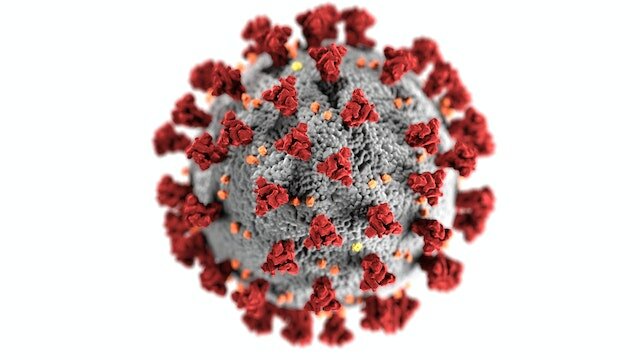 How the new coronavirus will finally get a proper name